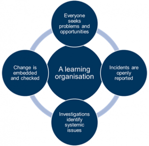 A Learning Organisation 300x294